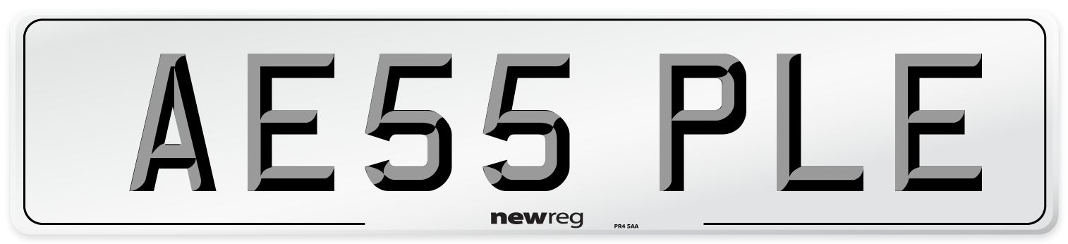 AE55 PLE Number Plate from New Reg